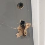 Porte d'entrée forcée à Toulouse : serrure arrachée et bois éclaté, avant mise en sécurité par ADA Serrurerie